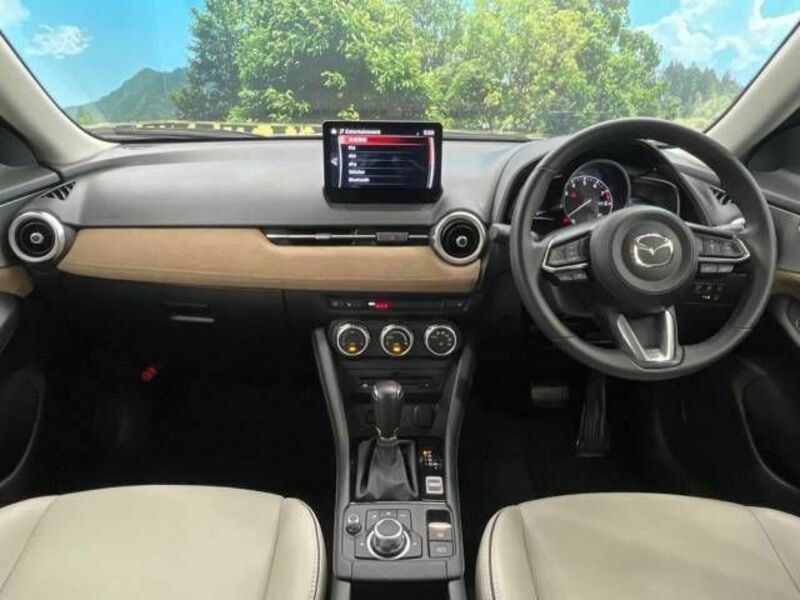 CX-3-1