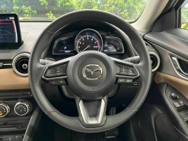 CX-3-10