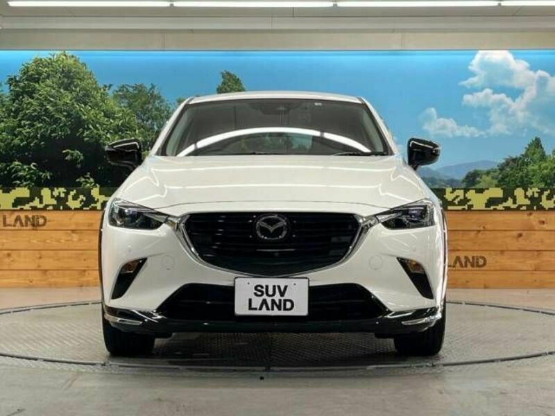 CX-3-13