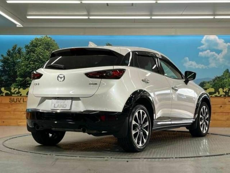 CX-3-16