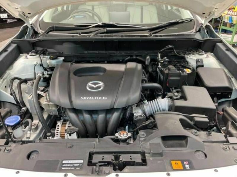 CX-3-17