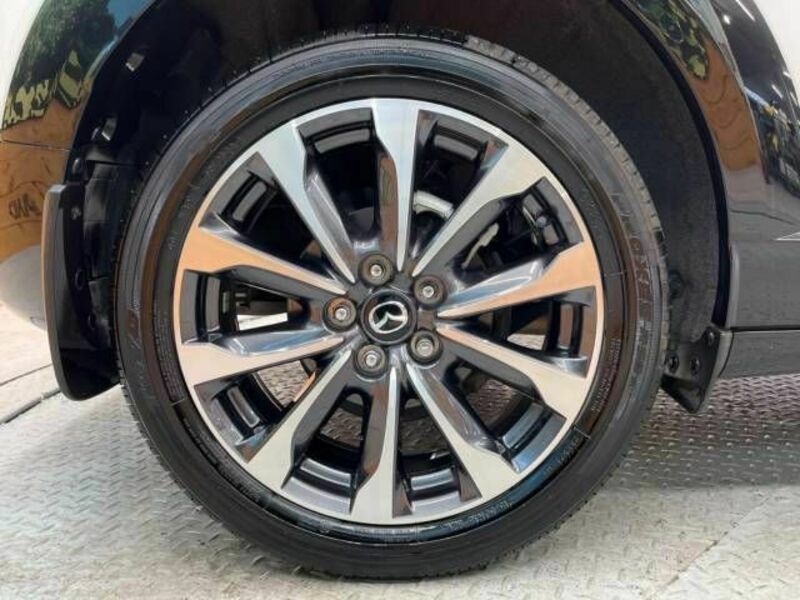 CX-3-19