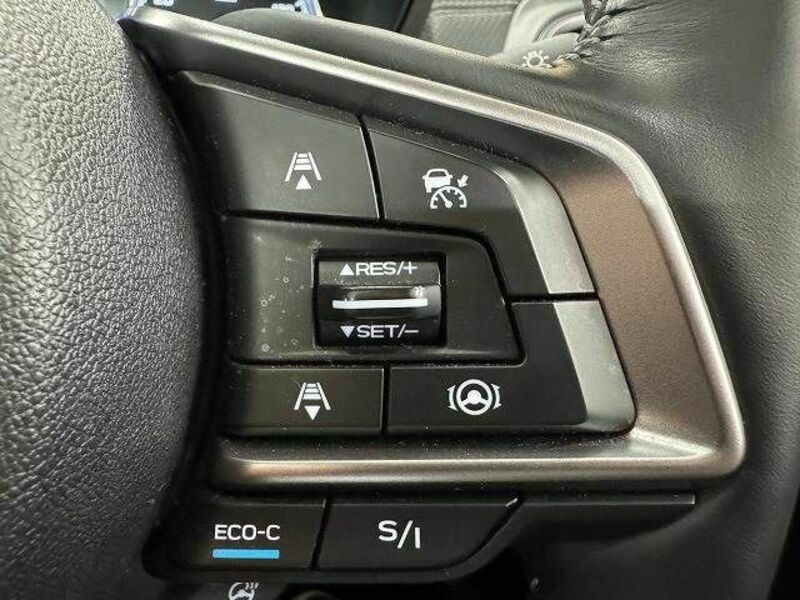 FORESTER-4