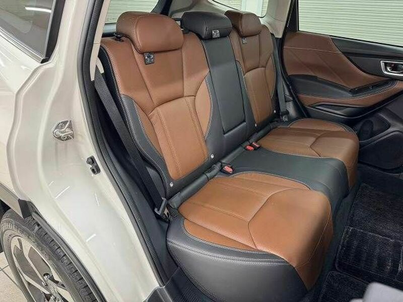 FORESTER-8