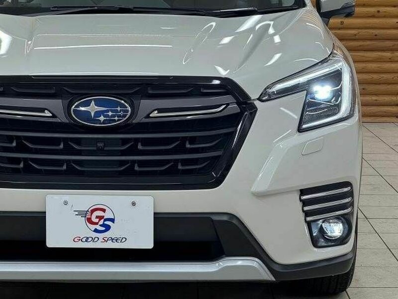 FORESTER-9