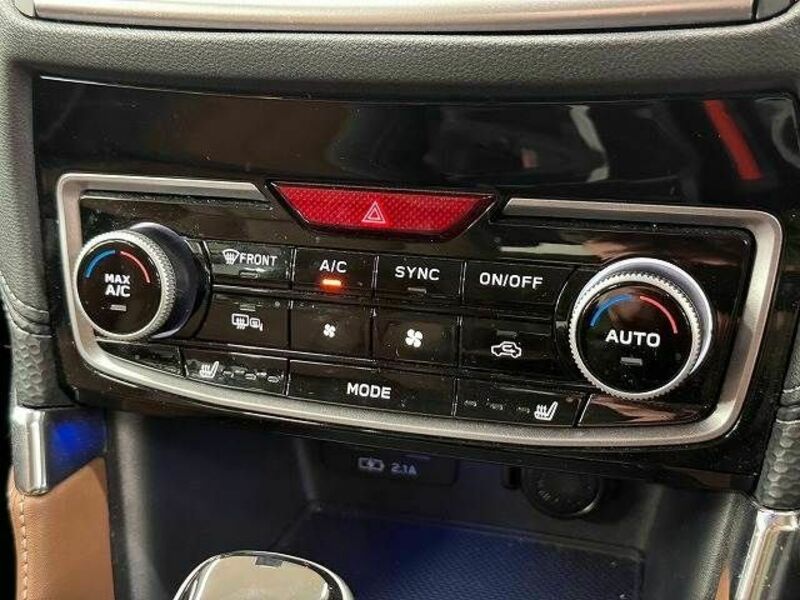FORESTER-11