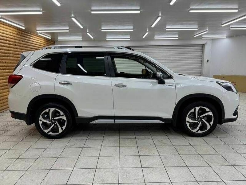 FORESTER-17