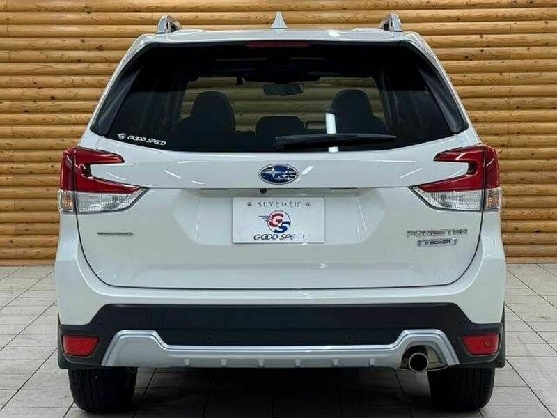 FORESTER-18