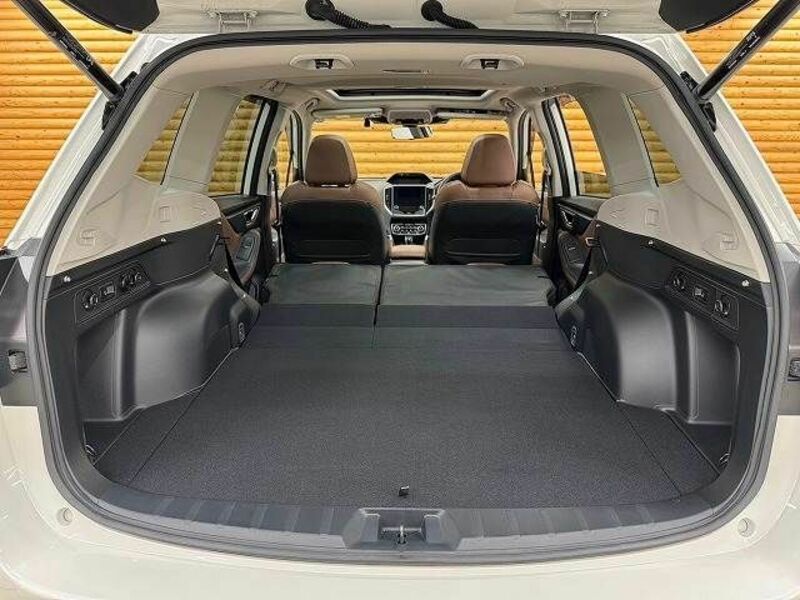 FORESTER-19