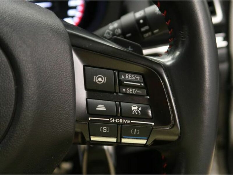 LEVORG-22