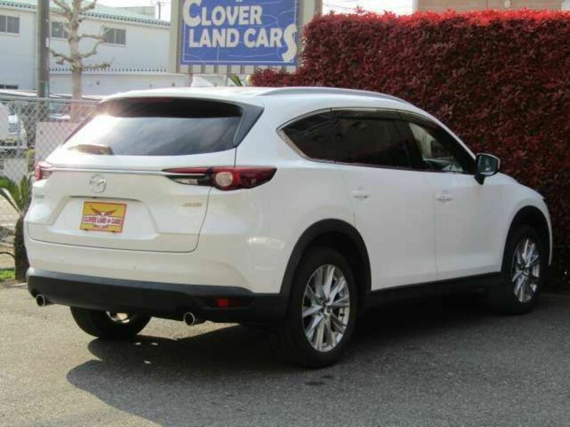 CX-8-6