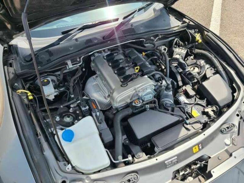 ROADSTER RF-19