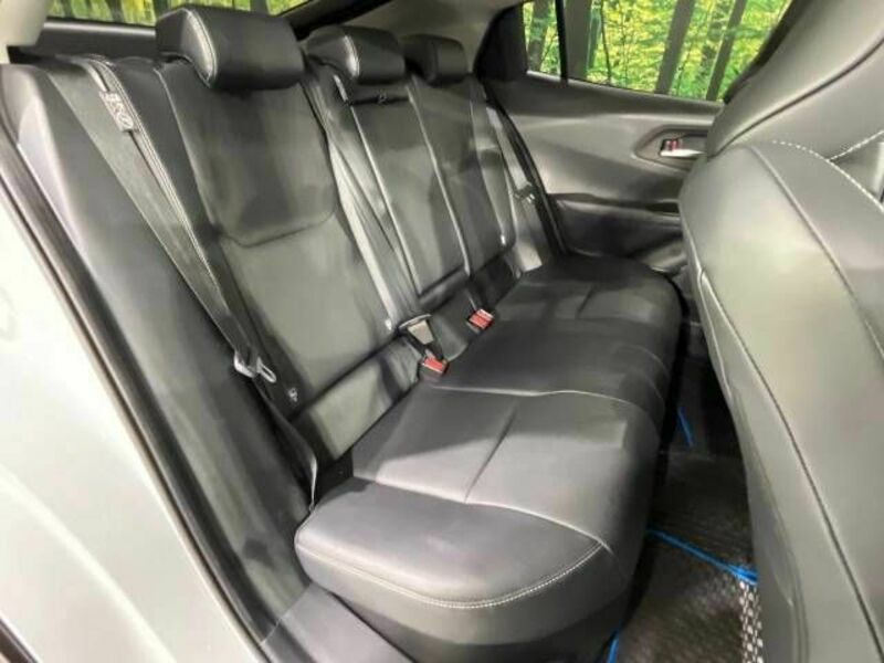 PRIUS-8