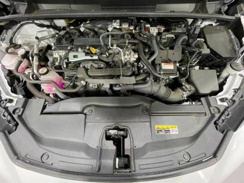 PRIUS-17