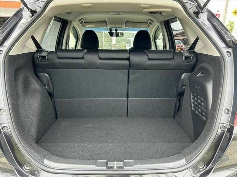 FIT HYBRID-19