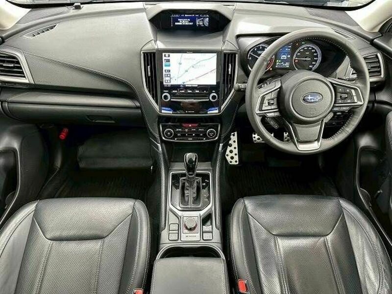 FORESTER-1
