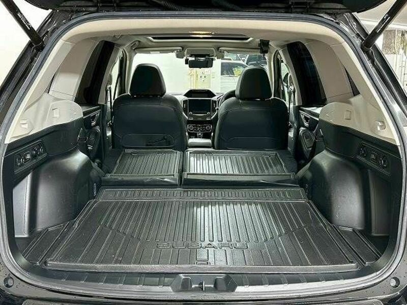 FORESTER-12