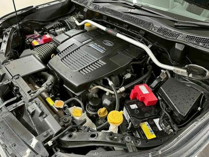 FORESTER-17