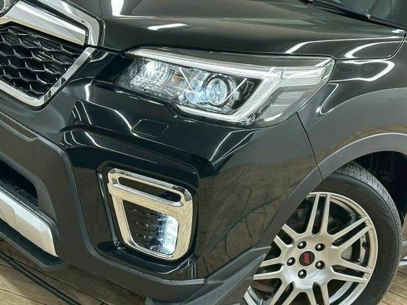 FORESTER-19