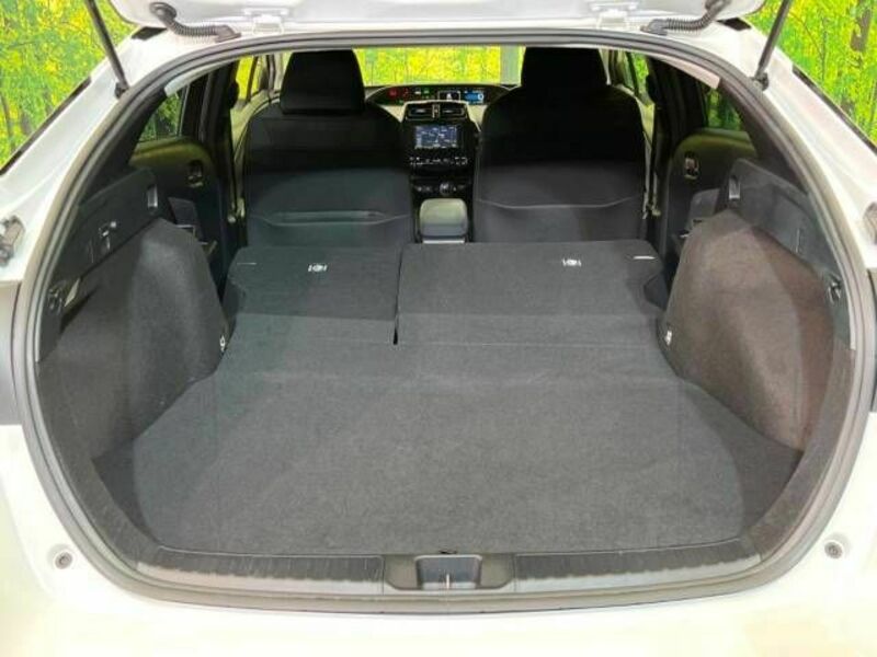 PRIUS-9