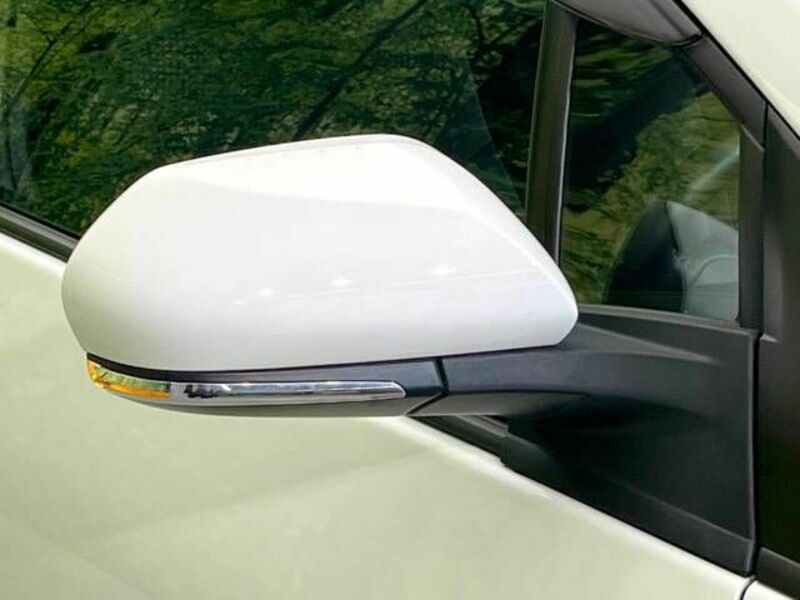 PRIUS-19