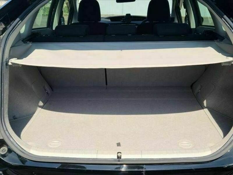 PRIUS-19