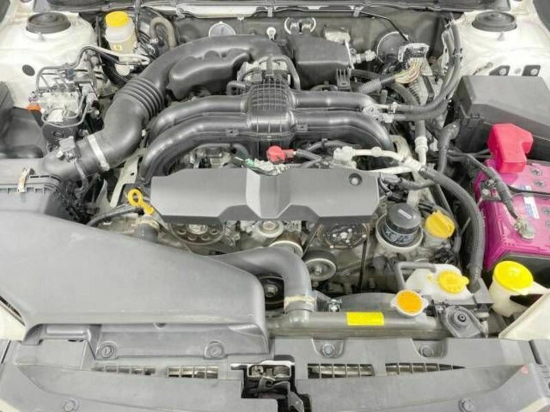 LEGACY B4-17