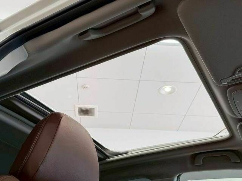 FORESTER-4