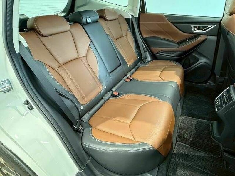 FORESTER-9