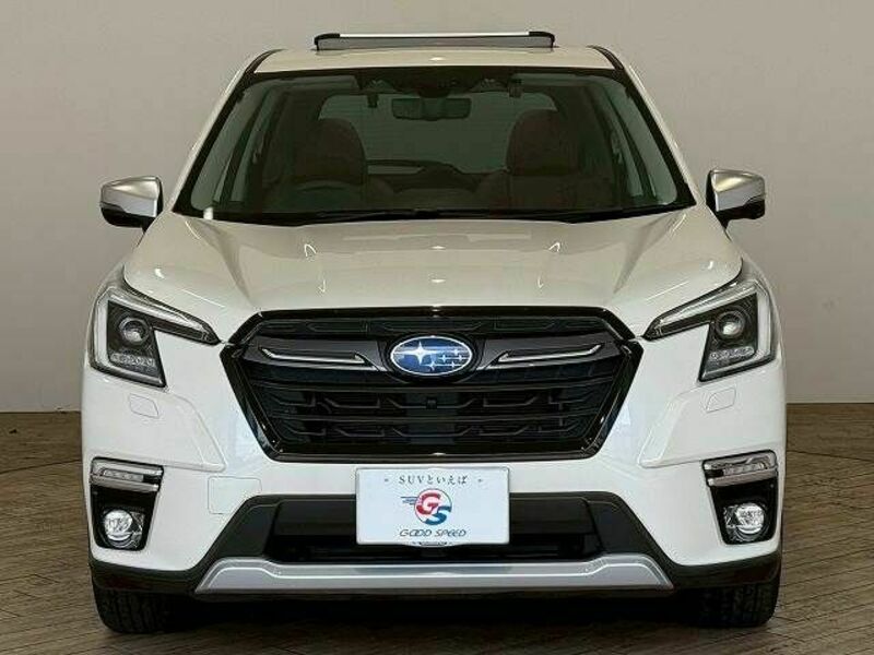 FORESTER-11