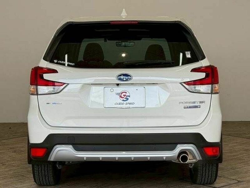 FORESTER-12
