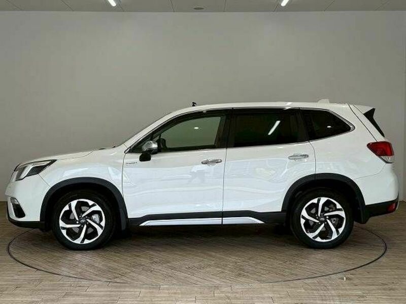 FORESTER-13