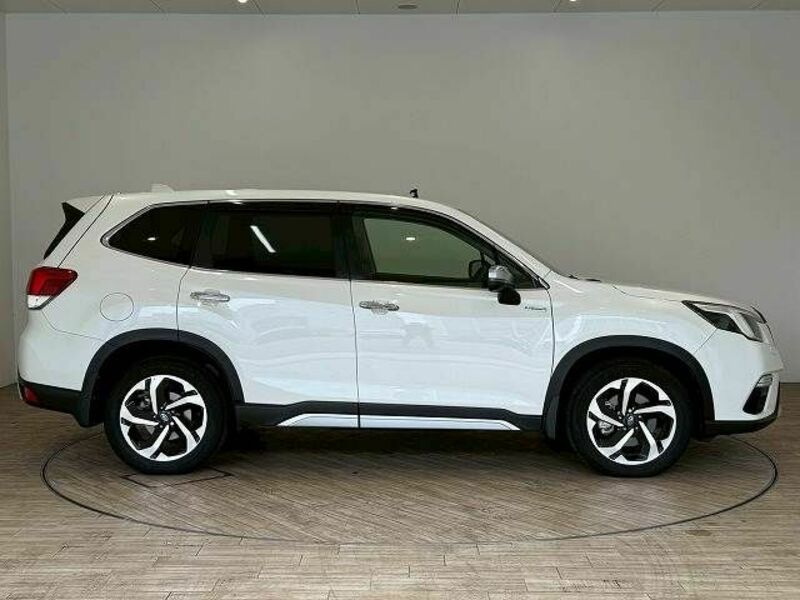 FORESTER-14
