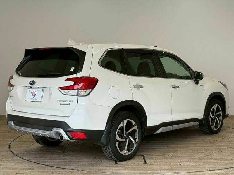 FORESTER-15