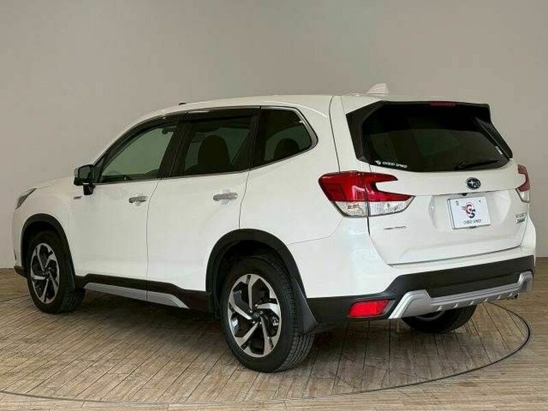 FORESTER-16