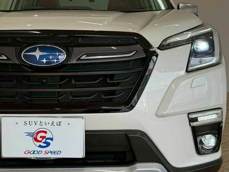 FORESTER-18