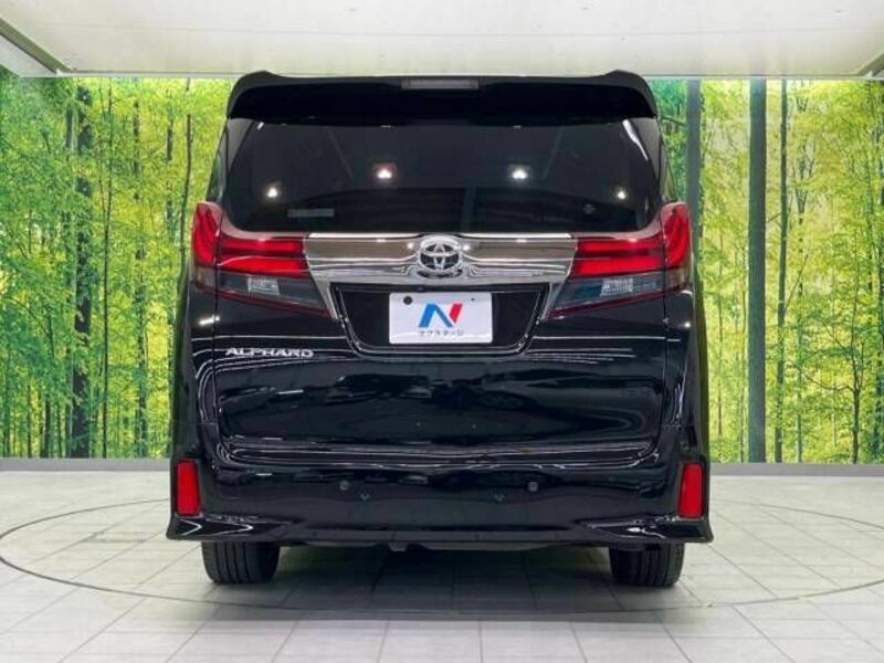 ALPHARD-16