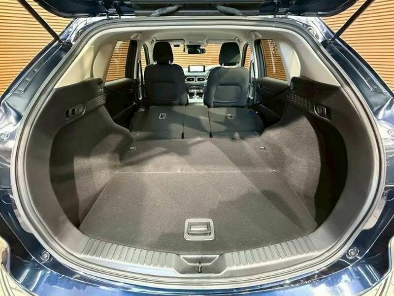 CX-5-19