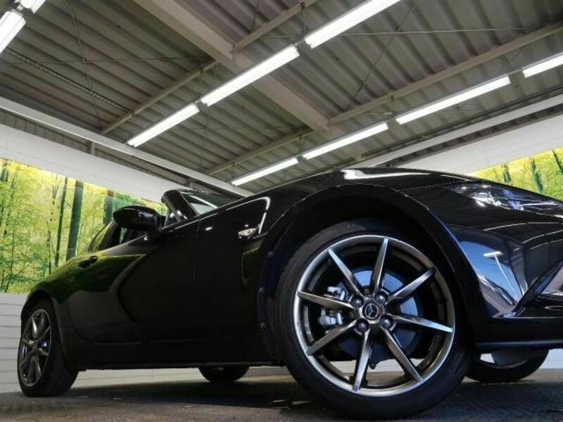 ROADSTER RF-13