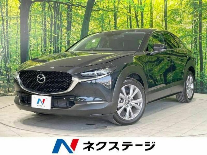CX-30