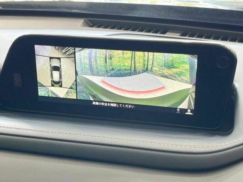 CX-30-4