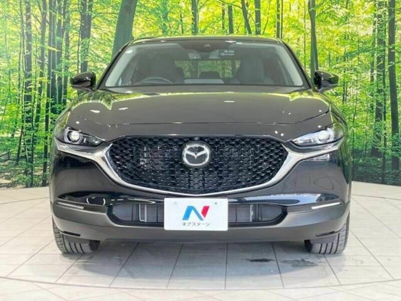 CX-30-13