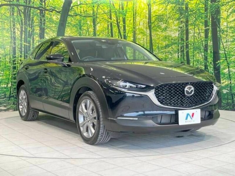 CX-30-15