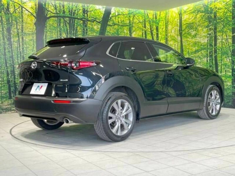 CX-30-16