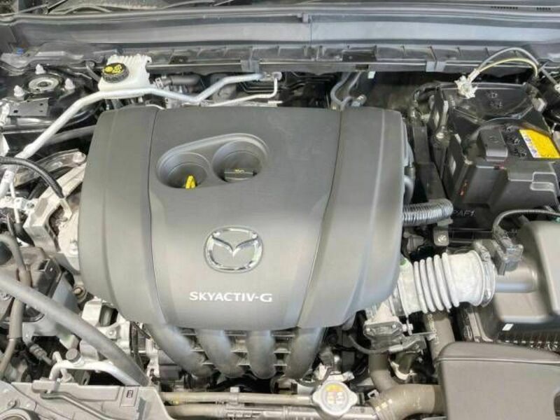 CX-30-17