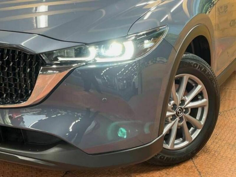 CX-8-14