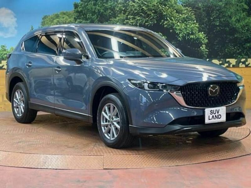 CX-8-17