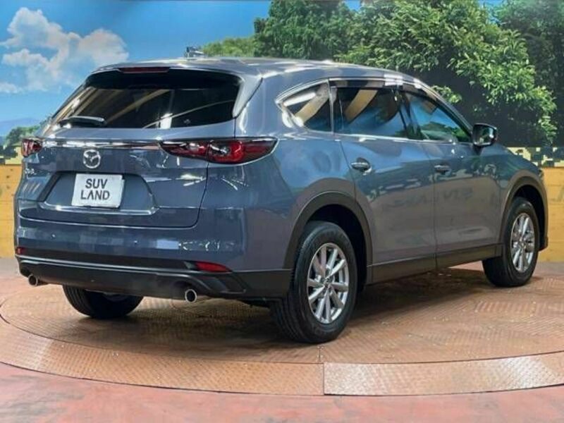 CX-8-18