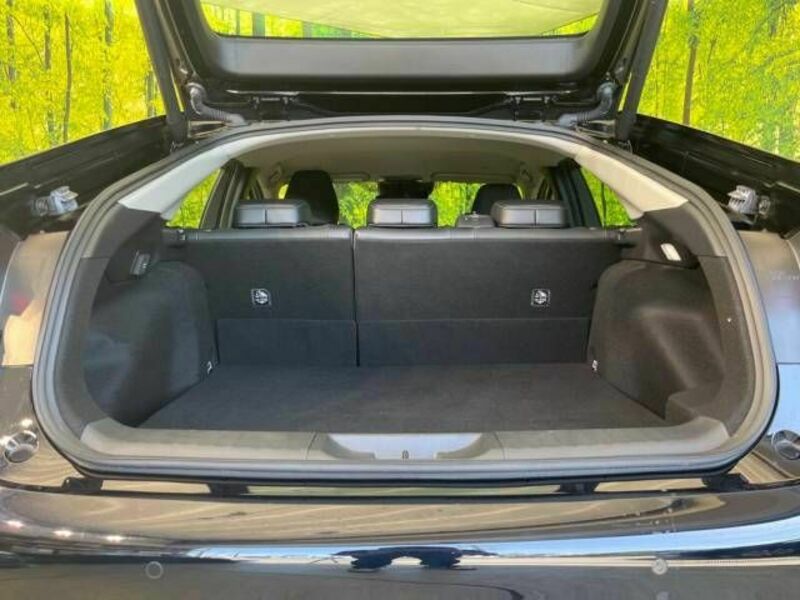 PRIUS-9