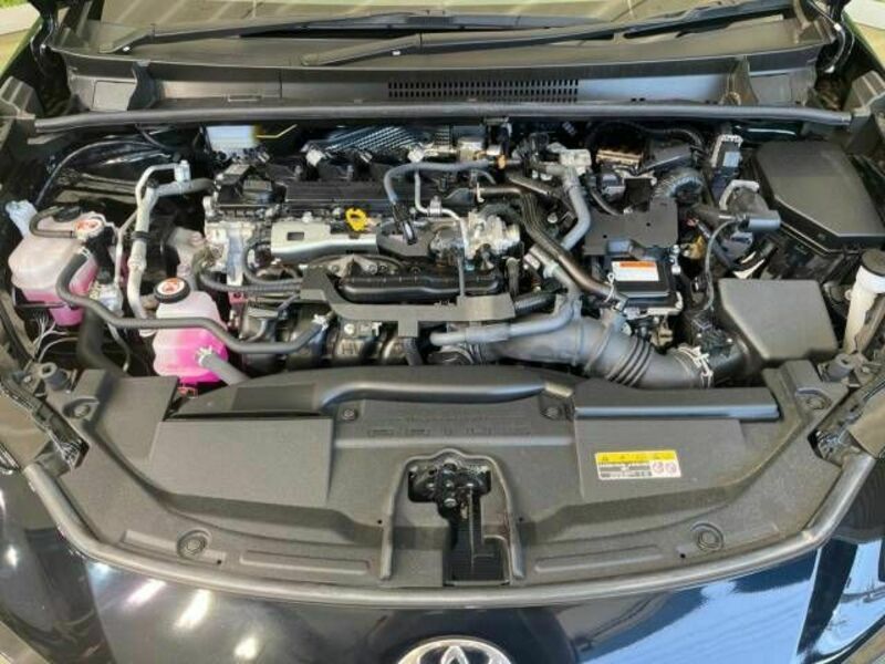 PRIUS-17